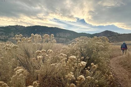 ಈ ಬಾರಿಯ ಮೈಸೂರು ದೀಪಾಲಂಕಾರಕ್ಕೆ ಖರ್ಚಾದ ಹಣ ಎಷ್ಟು ಗೊತ್ತಾ….?