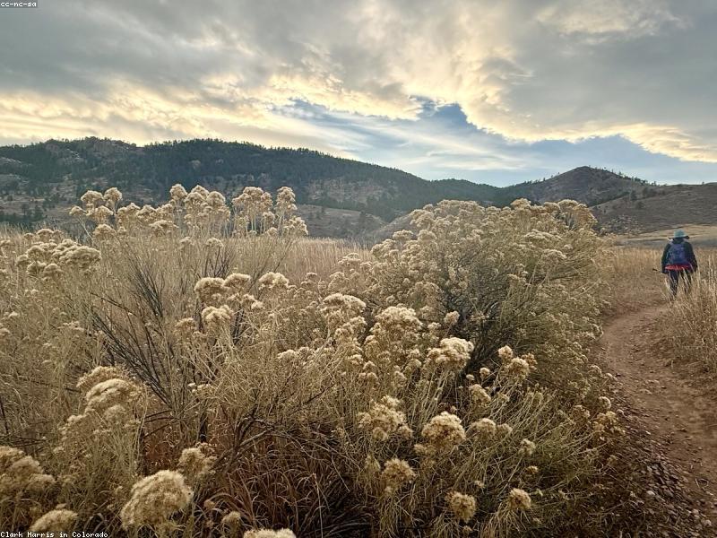 ಈ ಬಾರಿಯ ಮೈಸೂರು ದೀಪಾಲಂಕಾರಕ್ಕೆ ಖರ್ಚಾದ ಹಣ ಎಷ್ಟು ಗೊತ್ತಾ….?