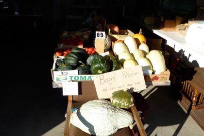 ಮತದಾನ ಜಾಗೃತಿ ಜಾಥಾ ಕಾರ್ಯಕ್ರಮಕ್ಕೆ ಚಾಲನೆ