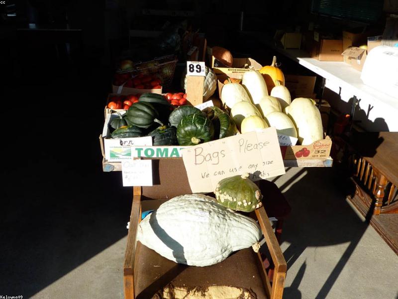 ಮತದಾನ ಜಾಗೃತಿ ಜಾಥಾ ಕಾರ್ಯಕ್ರಮಕ್ಕೆ ಚಾಲನೆ