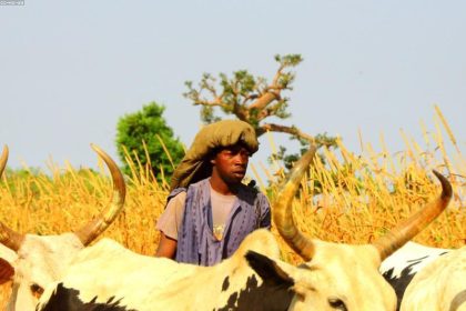 ಭಾರತೀಯ ಸಂಸ್ಕೃತಿ ಜಗತ್ತಿನ ಶ್ರೇಷ್ಠ ಸಂಸ್ಕೃತಿ -ಶಾಸಕ ಬೆನಕೆ