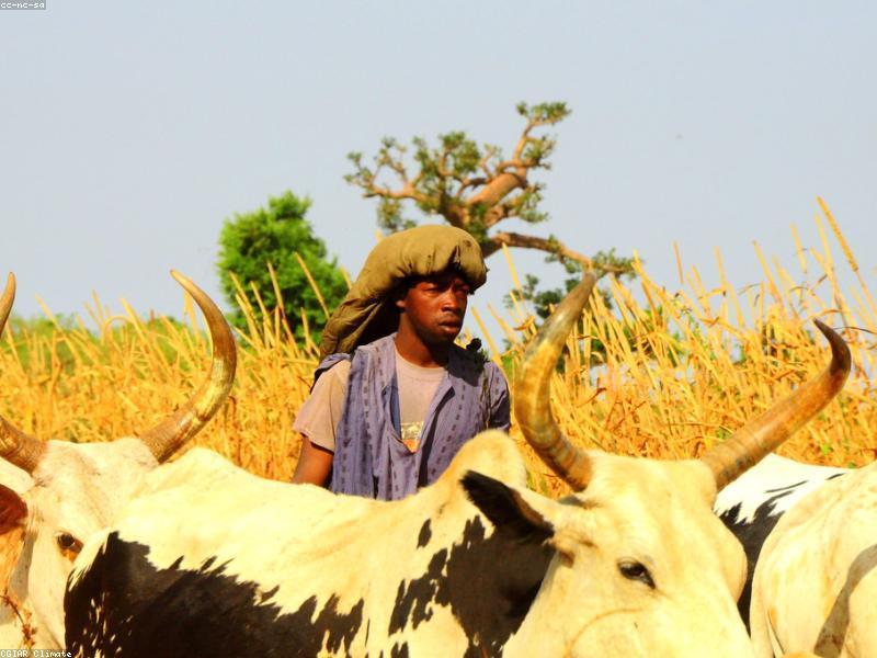 ಭಾರತೀಯ ಸಂಸ್ಕೃತಿ ಜಗತ್ತಿನ ಶ್ರೇಷ್ಠ ಸಂಸ್ಕೃತಿ -ಶಾಸಕ ಬೆನಕೆ