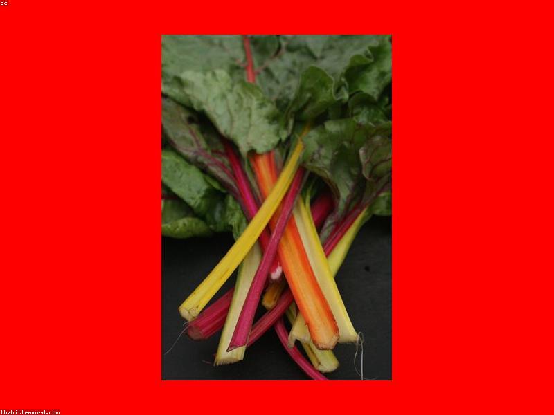 ಮದ್ಯ ಅಂಗಡಿಗಳ ಸ್ಥಳಾಂತರಕ್ಕೆ ಗ್ರಾಮಸ್ಥರ ಒತ್ತಾಯ