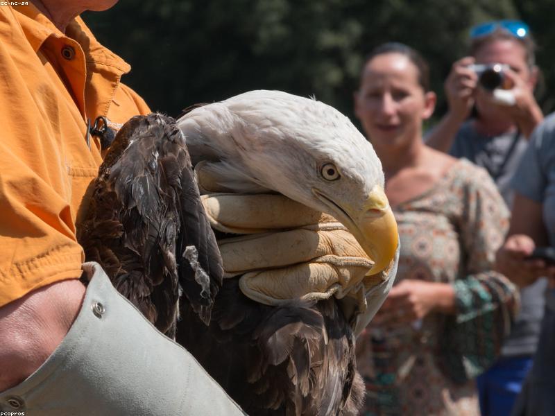 ಹೊಸ ಪಿಯು ಕಾಲೇಜು ಆರಂಭಕ್ಕೆ ಅರ್ಜಿ ಆಹ್ವಾನ 