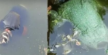 ಕಪಿಲೇಶ್ವರ ಹೊಂಡದಲ್ಲಿ ಪುರುಷ, ಮಹಿಳೆಯ ಶವಗಳು ಪತ್ತೆ