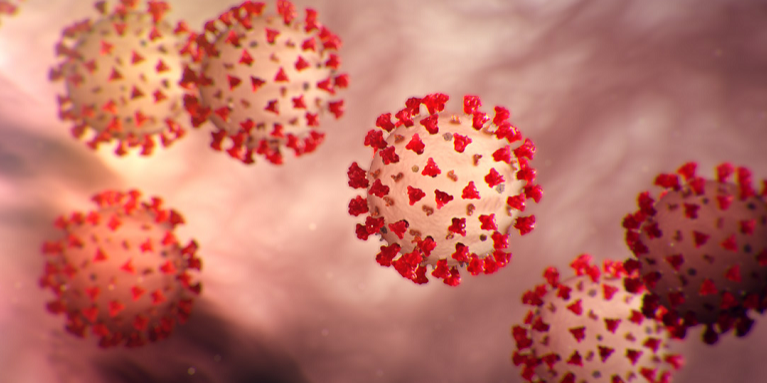 ಬೆಳಗಾವಿಗೂ ಕಾಲಿಟ್ಟ ಕೋವಿಡ್! ಬೆಳಗಾವಿಗೂ ಕಾಲಿಟ್ಟ ಕೋವಿಡ್!